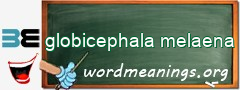 WordMeaning blackboard for globicephala melaena